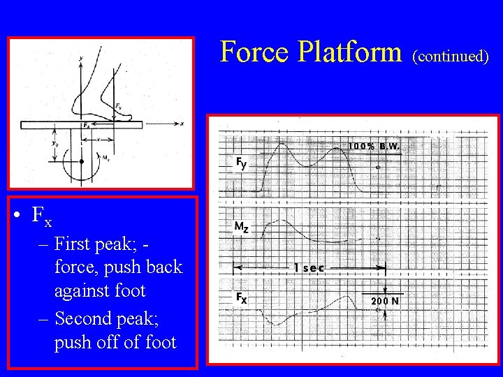 Force Platform (continued) • Fx – First peak; force, push back against foot –