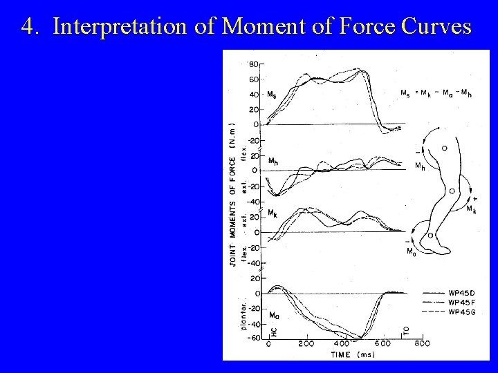 4. Interpretation of Moment of Force Curves 