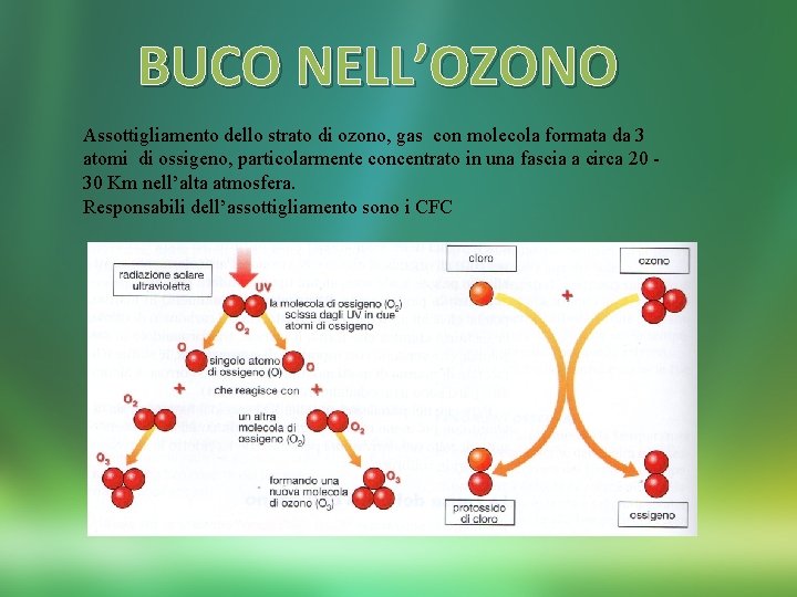 BUCO NELL’OZONO Assottigliamento dello strato di ozono, gas con molecola formata da 3 atomi