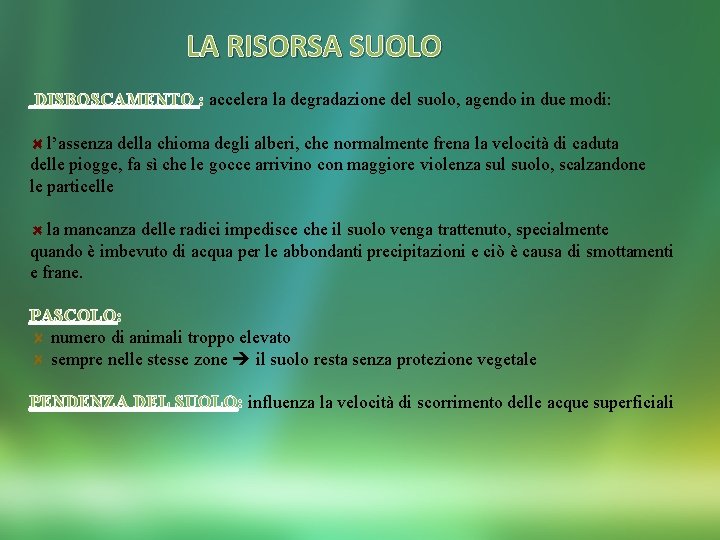 LA RISORSA SUOLO DISBOSCAMENTO : accelera la degradazione del suolo, agendo in due modi: