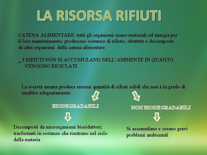 LA RISORSA RIFIUTI CATENA ALIMENTARE: tutti gli organismi usano materiali ed energia per il