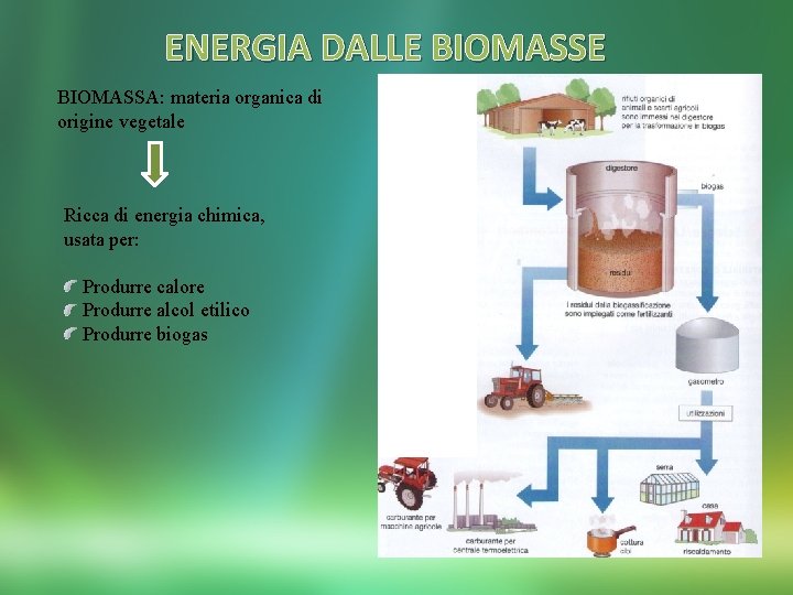 ENERGIA DALLE BIOMASSA: materia organica di origine vegetale Ricca di energia chimica, usata per:
