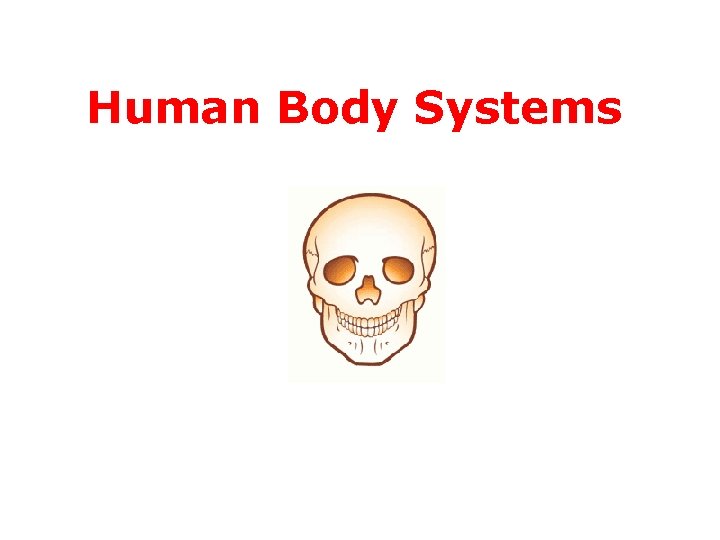 Human Body Systems 