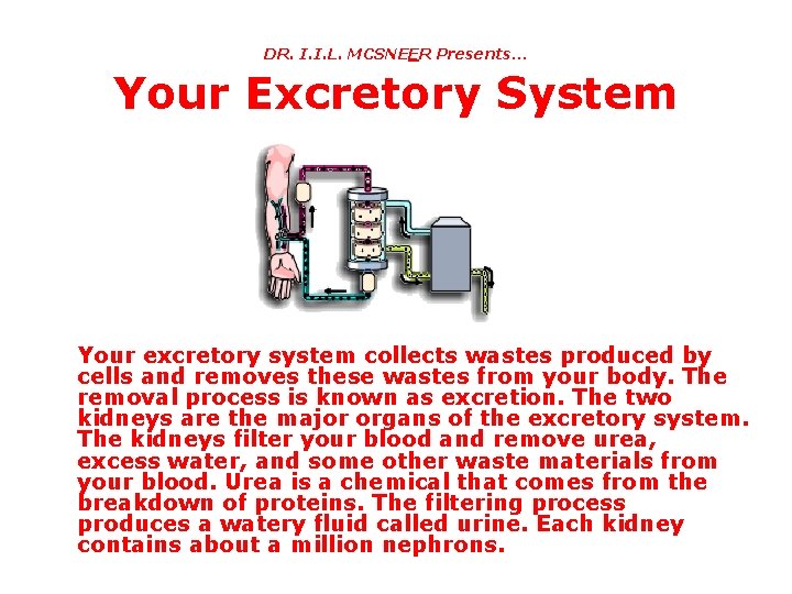 DR. I. I. L. MCSNEER Presents… Your Excretory System Your excretory system collects wastes
