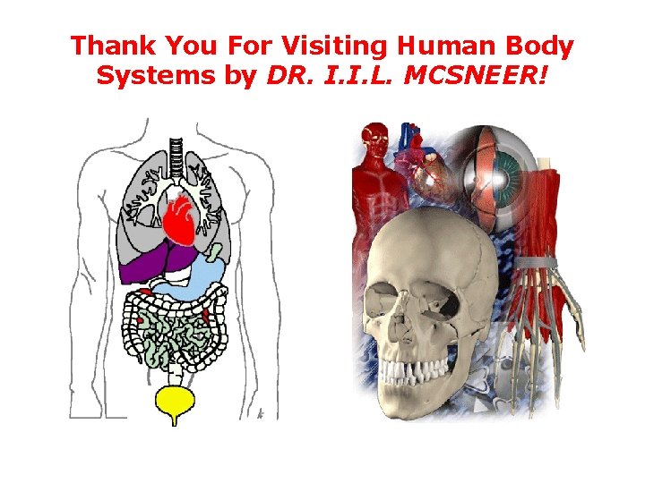 Thank You For Visiting Human Body Systems by DR. I. I. L. MCSNEER! 