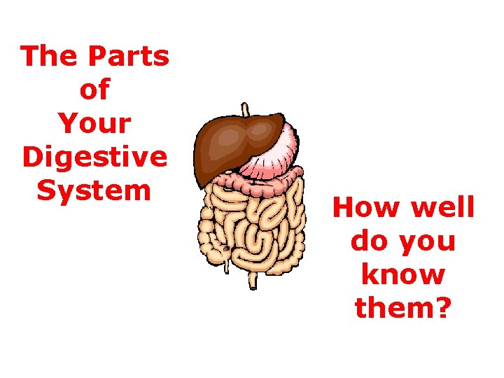 The Parts of Your Digestive System How well do you know them? 