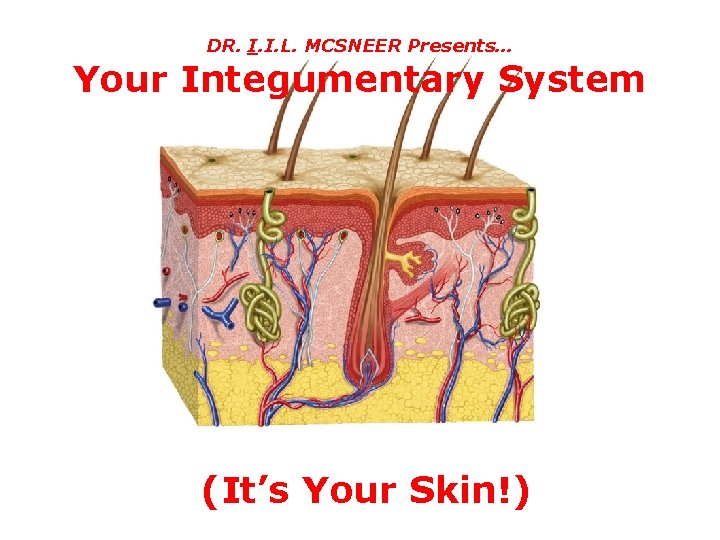 DR. I. I. L. MCSNEER Presents… Your Integumentary System (It’s Your Skin!) 