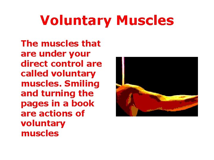 Voluntary Muscles The muscles that are under your direct control are called voluntary muscles.