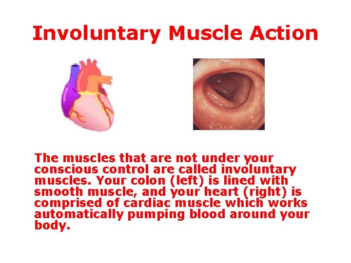 Involuntary Muscle Action The muscles that are not under your conscious control are called