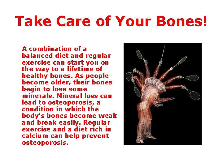 Take Care of Your Bones! A combination of a balanced diet and regular exercise
