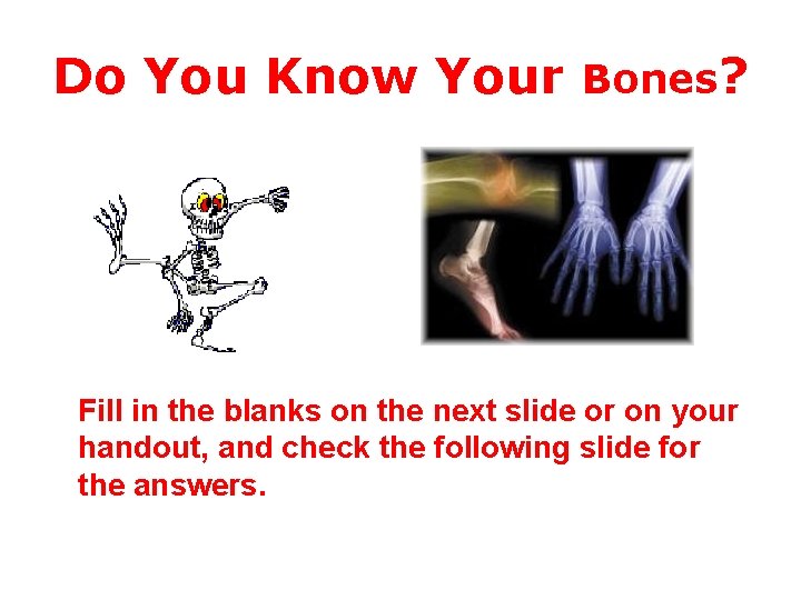 Do You Know Your Bones? Fill in the blanks on the next slide or