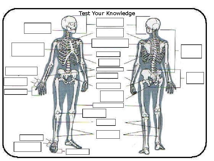 Test Your Knowledge 