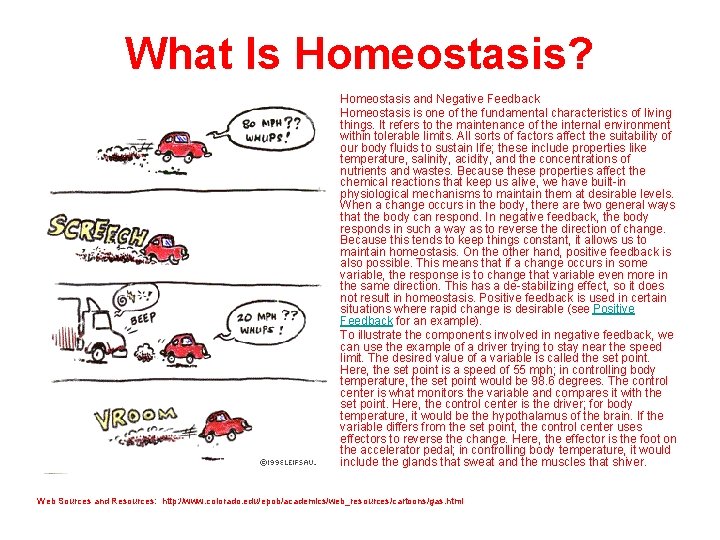 What Is Homeostasis? Homeostasis and Negative Feedback Homeostasis is one of the fundamental characteristics
