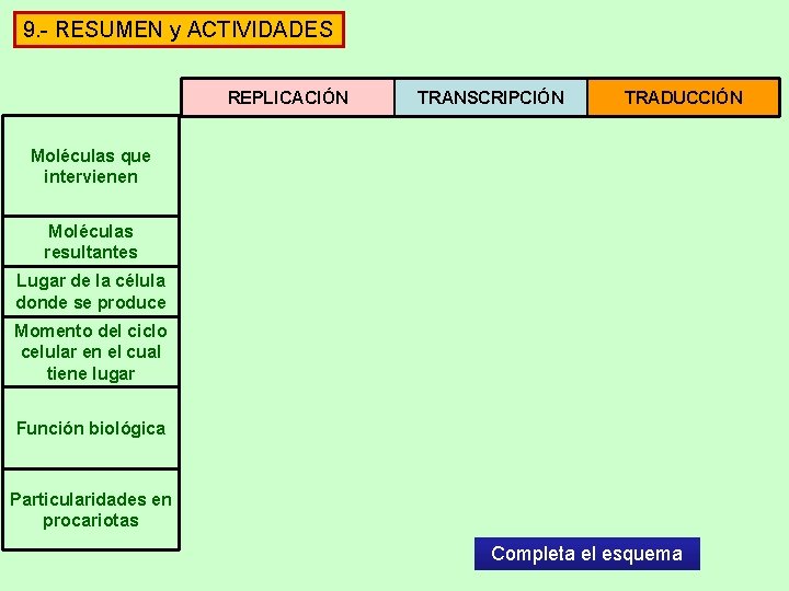 9. - RESUMEN y ACTIVIDADES REPLICACIÓN TRANSCRIPCIÓN TRADUCCIÓN Moléculas que intervienen Moléculas resultantes Lugar 9. - RESUMEN y ACTIVIDADES REPLICACIÓN TRANSCRIPCIÓN TRADUCCIÓN Moléculas que intervienen Moléculas resultantes Lugar
