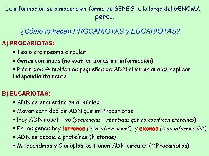 La información se almacena en forma de GENES a lo largo del GENOMA, pero… La información se almacena en forma de GENES a lo largo del GENOMA, pero…