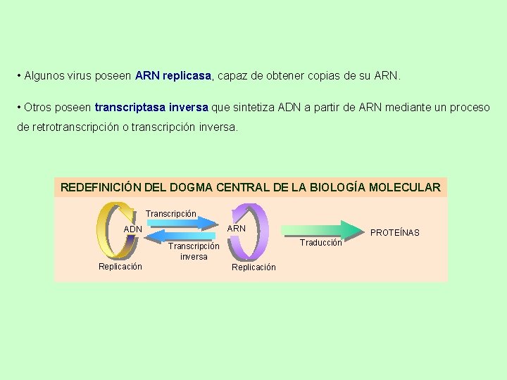 • Algunos virus poseen ARN replicasa, capaz de obtener copias de su ARN. • Algunos virus poseen ARN replicasa, capaz de obtener copias de su ARN.