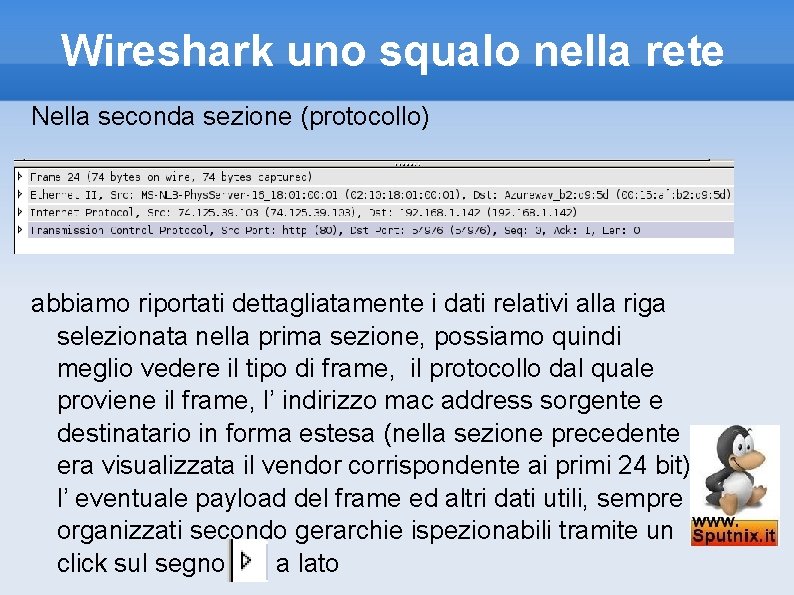 Wireshark uno squalo nella rete Nella seconda sezione (protocollo) abbiamo riportati dettagliatamente i dati