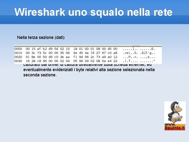 Wireshark uno squalo nella rete Nella terza sezione (dati) invece vediamo il frame nativo,