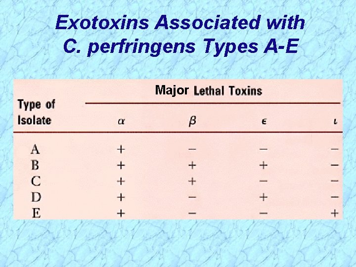 Exotoxins Associated with C. perfringens Types A-E Major 