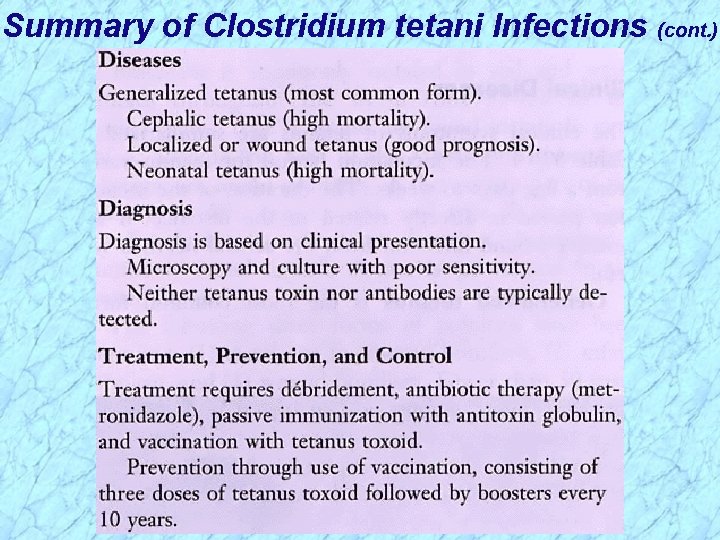 Summary of Clostridium tetani Infections (cont. ) 