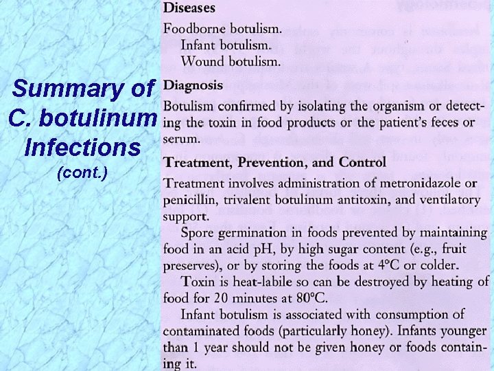 Summary of C. botulinum Infections (cont. ) 