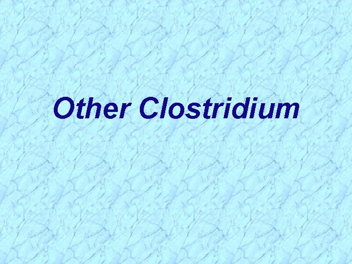 Other Clostridium 