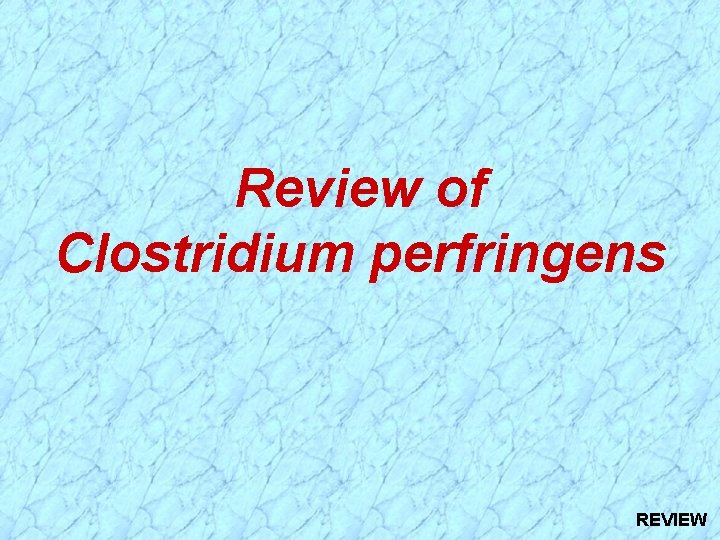 Review of Clostridium perfringens REVIEW 
