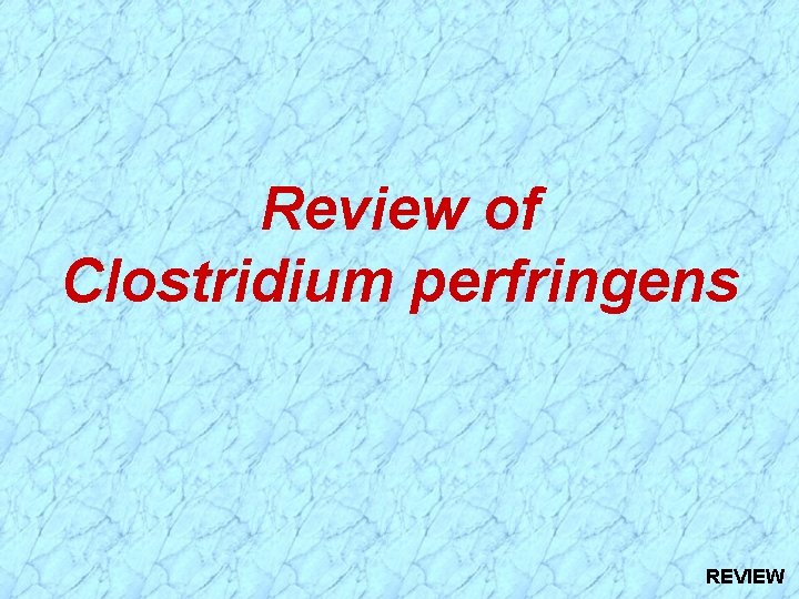 Review of Clostridium perfringens REVIEW Review of Clostridium perfringens REVIEW