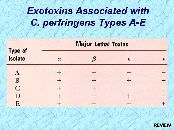 Exotoxins Associated with C. perfringens Types A-E Major REVIEW 