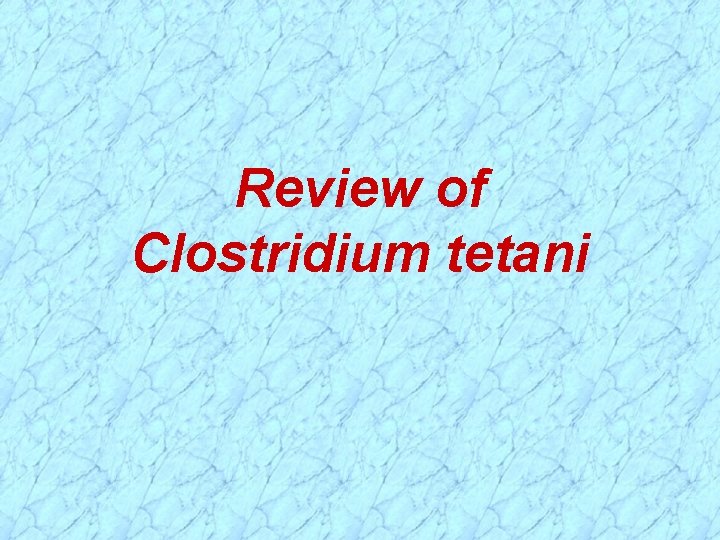 Review of Clostridium tetani 