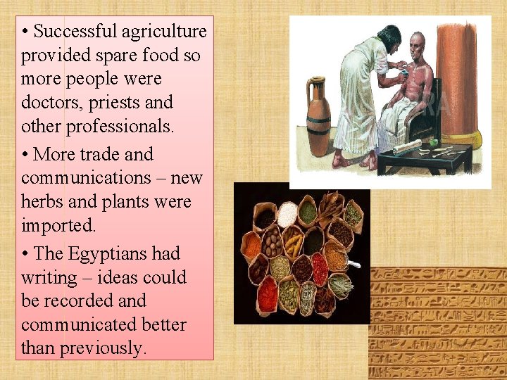  • Successful agriculture provided spare food so more people were doctors, priests and