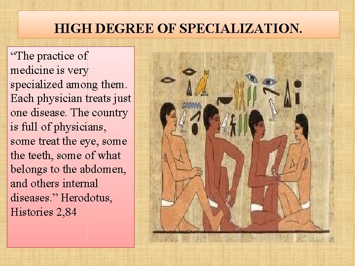 HIGH DEGREE OF SPECIALIZATION. “The practice of medicine is very specialized among them. Each