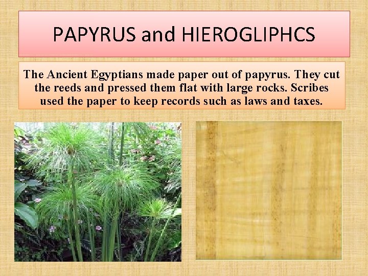 PAPYRUS and HIEROGLIPHCS The Ancient Egyptians made paper out of papyrus. They cut the