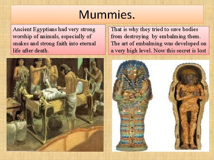 Mummies. Ancient Egyptians had very strong worship of animals, especially of snakes and strong