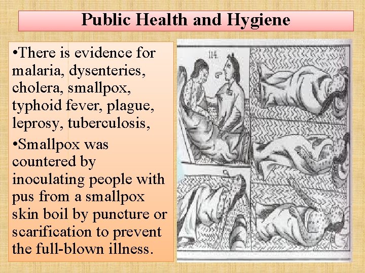 Public Health and Hygiene • There is evidence for malaria, dysenteries, cholera, smallpox, typhoid