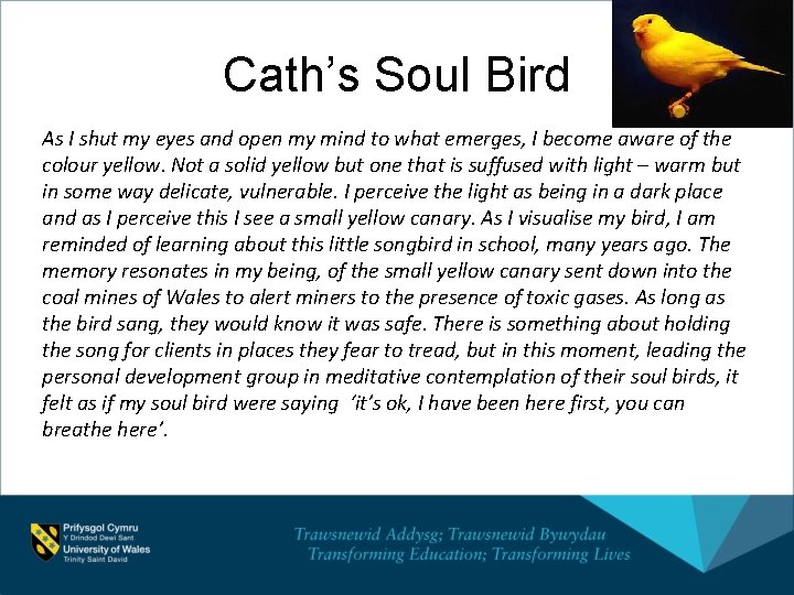 Cath’s Soul Bird As I shut my eyes and open my mind to what