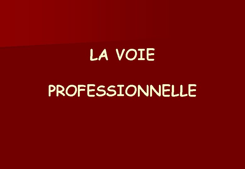 LA VOIE PROFESSIONNELLE 