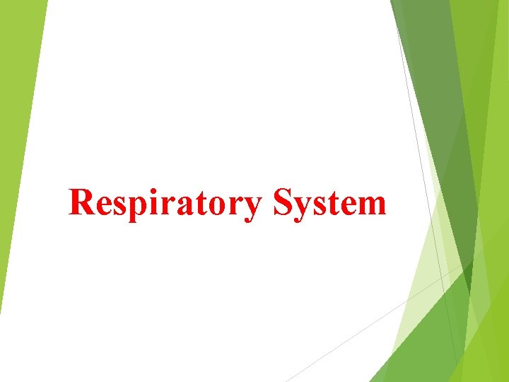 Respiratory System 