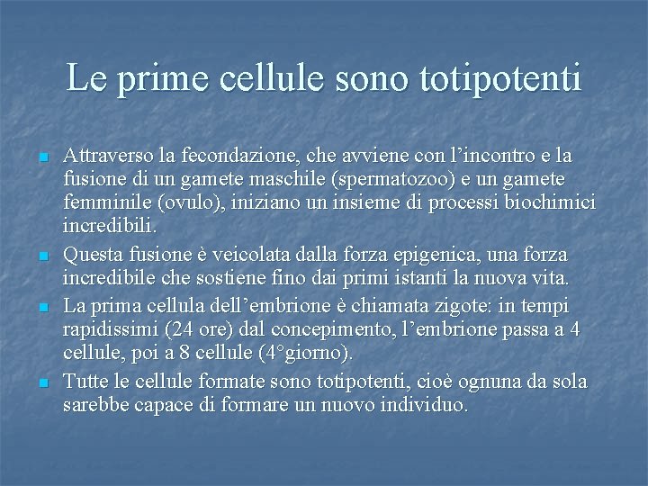 Le prime cellule sono totipotenti n n Attraverso la fecondazione, che avviene con l’incontro