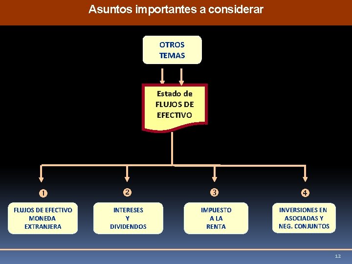 Asuntos importantes a considerar OTROS TEMAS Estado de FLUJOS DE EFECTIVO MONEDA EXTRANJERA INTERESES