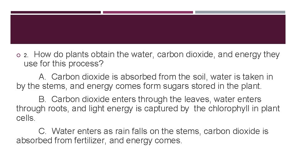 . How do plants obtain the water, carbon dioxide, and energy they use for