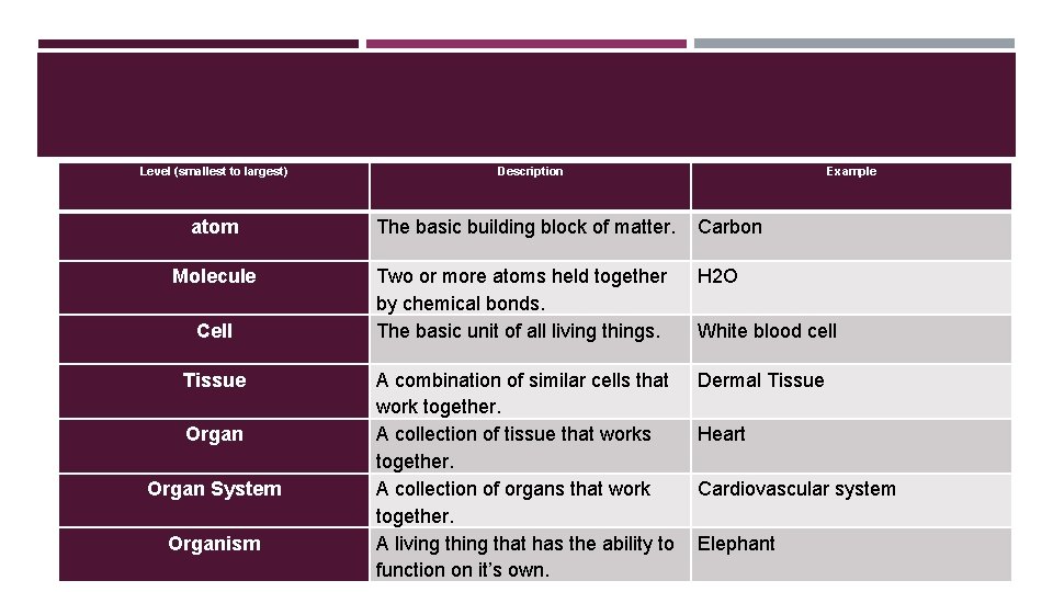 Level (smallest to largest) Description Example atom The basic building block of matter. Carbon