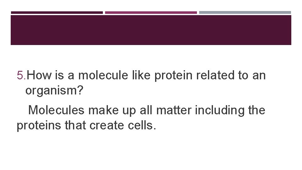 5. How is a molecule like protein related to an organism? Molecules make up