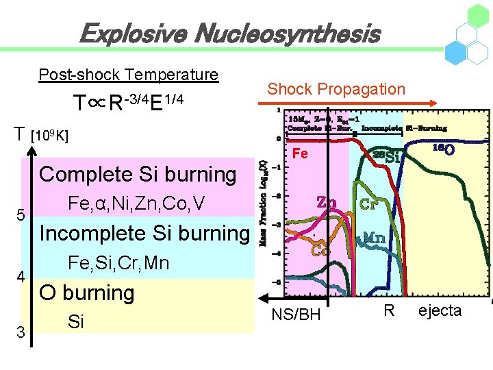 Explosive Nucleosynthesis Post-shock Temperature T∝R-3/4 E 1/4 Shock Propagation T [109 K] Fe Complete