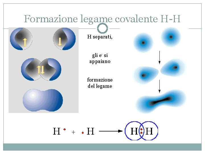 Formazione legame covalente H-H H separati, gli e- si appaiano formazione del legame 
