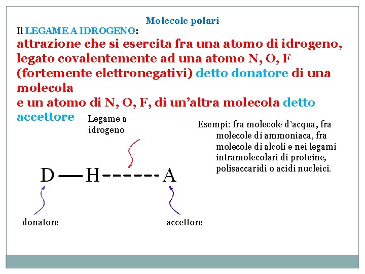 Il LEGAME A IDROGENO: Molecole polari attrazione che si esercita fra una atomo di