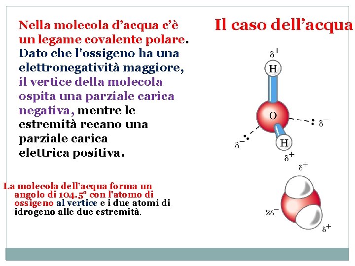 Nella molecola d’acqua c’è un legame covalente polare. Dato che l'ossigeno ha una elettronegatività