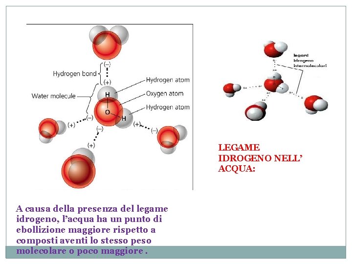 LEGAME IDROGENO NELL’ ACQUA: A causa della presenza del legame idrogeno, l’acqua ha un