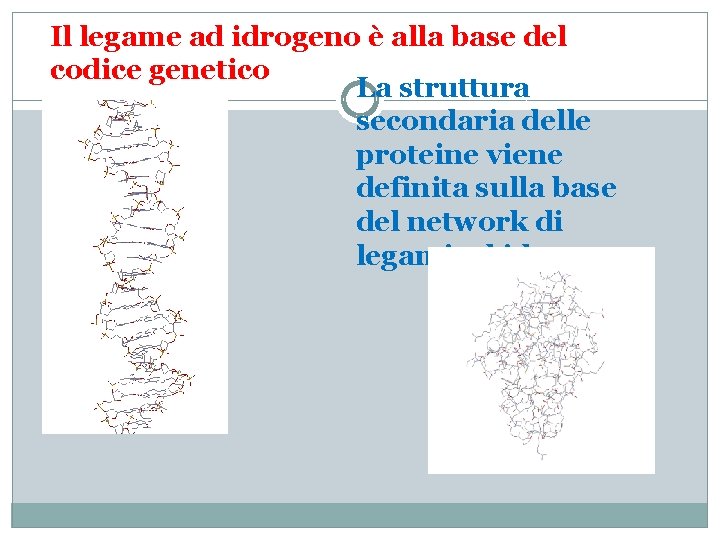 Il legame ad idrogeno è alla base del codice genetico La struttura secondaria delle