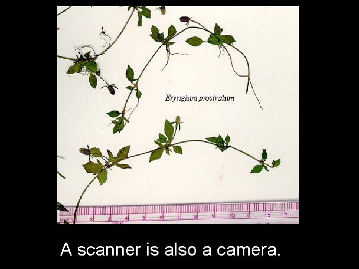 A scanner is also a camera. 